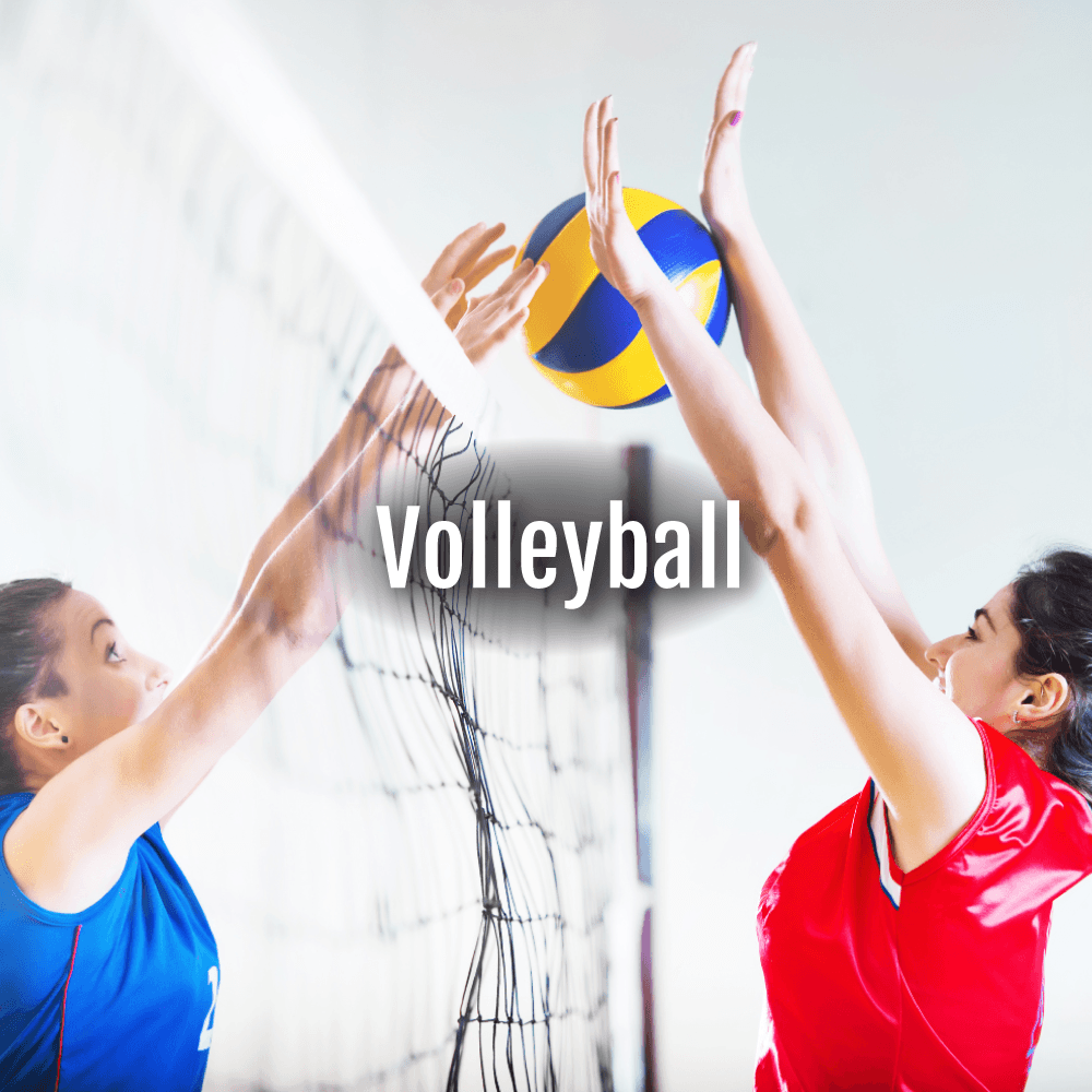 Voleibol - Vadell cl