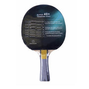 Paleta De Ping Pong 4 Estrellas Giant Dragon - Vadell cl