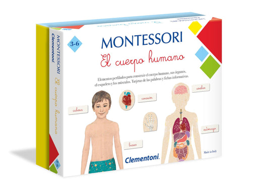 Montessori El Cuerpo Humano - Vadell cl