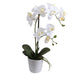 Orquídea blanca artificial de 51 cm en macetero redondo - Vadell cl