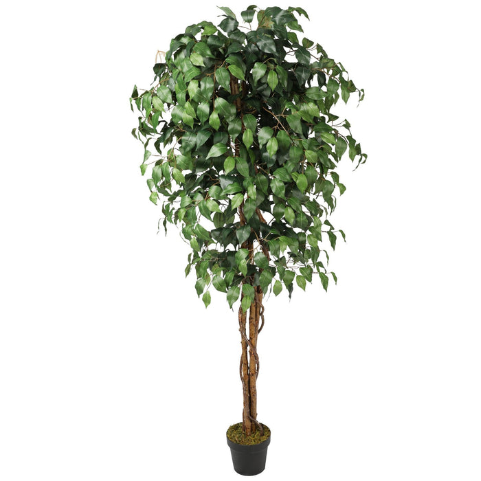 Ficus Benjamina artificial de 180 cm con doble tronco de madera - Vadell cl