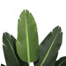 Banano Artificial de 160 cm y 5 hojas - Vadell cl